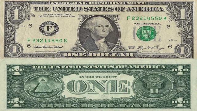Dollaro.webp