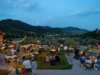 Calici di Stelle 2026: il vino italiano illumina l’estate promuovendo un consumo responsabile, consapevolezza e interazione tra le generazioni.