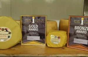 Montalcino: i formaggi artigianali della storica fattoria de Barbi trionfano nelle competizioni e a tavola.
